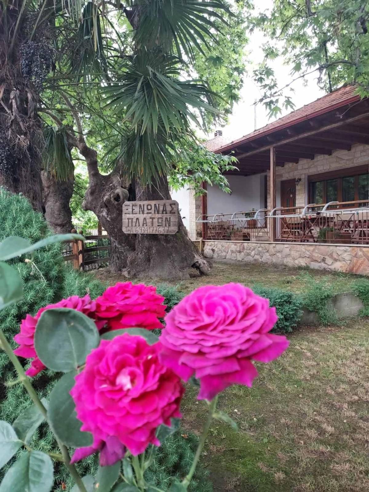 Guesthouse Platon Órma Exteriör bild